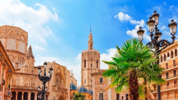 瓦倫西亞主教堂+絲綢交易廳+阿爾布菲拉自然公園+埃爾佩德羅港