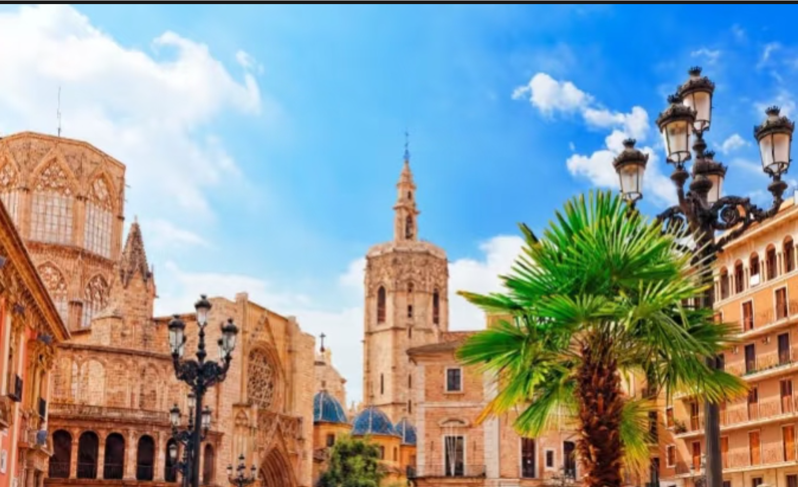 瓦倫西亞主教堂+絲綢交易廳+阿爾布菲拉自然公園+埃爾佩德羅港