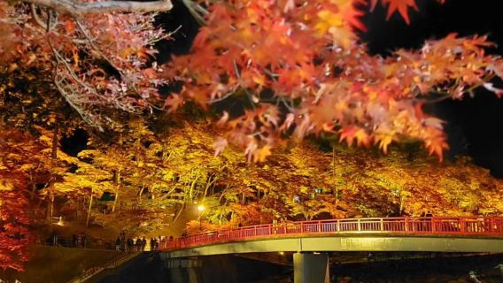 名古屋+虎溪山永保寺+香嵐溪賞楓一日遊【中文導遊】