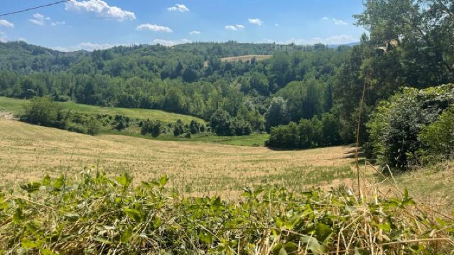 Экскурсия на Fiat 500 по холмам Болоньи