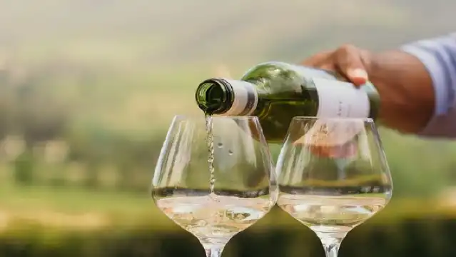 ทัวร์ไวน์ African Story ใน Cape Winelands