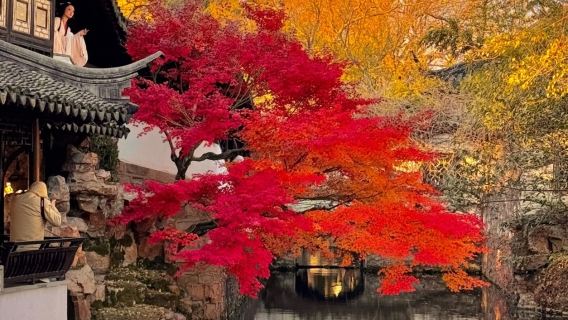 Suzhou : Colline du tigre + Rue Shantang + Jardin Liu + Lac Yangcheng|Voiture avec chauffeur personnalisée en chinois, anglais et autres langues