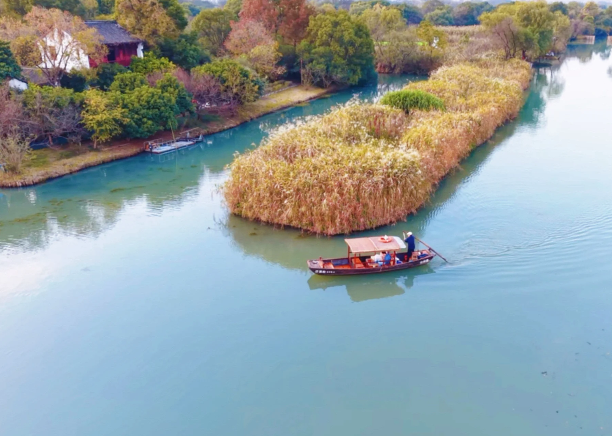 Xixi National Wetland Park + rowing boat (2 hours) + in-depth live guide service