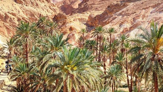 摩洛哥&馬拉喀什【專屬包車一日遊】阿加菲沙漠+古爾甘綠洲