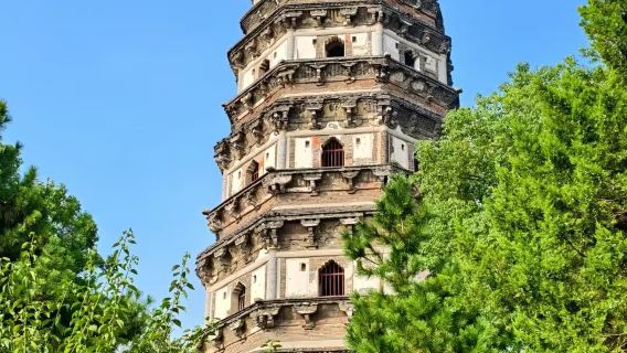 Tour di un giorno ai luoghi più belli di Suzhou [Giardino dell'Amministratore Umile + Lion Forest Garden + La collina della tigre + Tempio Hanshan] con biglietto d'ingresso e visita guidata in inglese