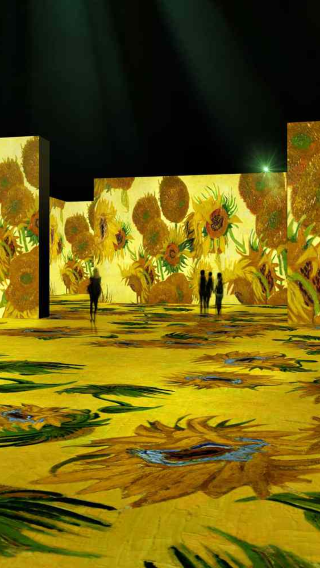 Van Gogh Museum + Sarphatipark + The Upside Down Amsterdam Day Tour