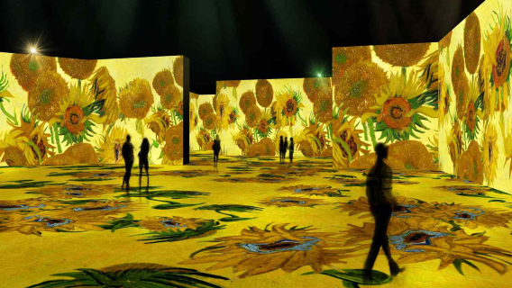 Van Gogh Museum + Sarphatipark + The Upside Down Amsterdam Day Tour