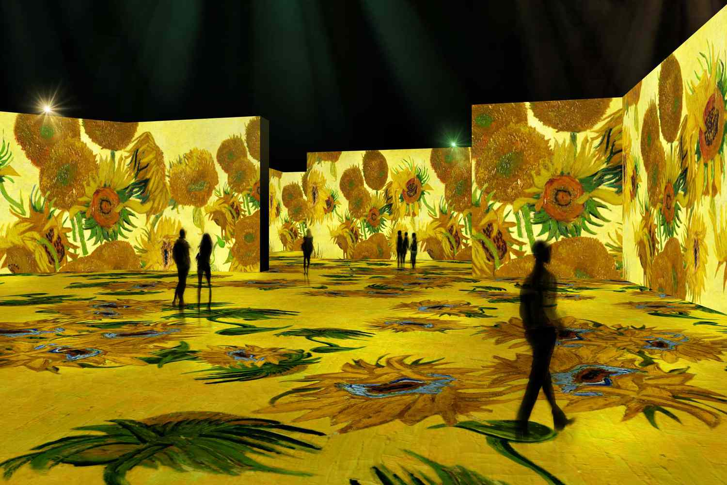 Van Gogh Museum + Sarphatipark + The Upside Down Amsterdam Day Tour