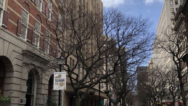 【開普敦經典一日遊】長街+綠點公園+信號山+坎普斯灣