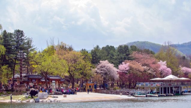春川旅遊一日遊【南怡島+鐵路腳踏車+晨靜樹木園+羊駝世界】
