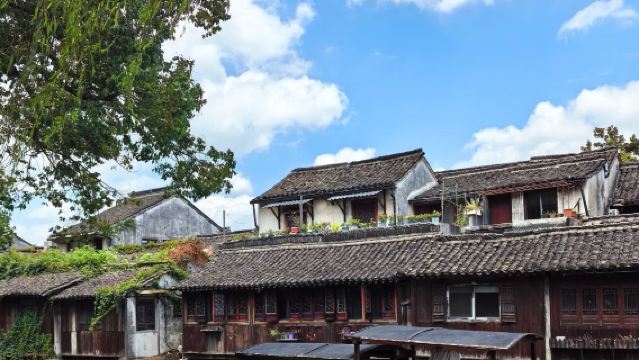 Perjalanan sehari dari Nanjing/Changzhou/Yangzhou/Zhenjiang ke Wuzhen (termasuk pengangkutan + pemandu pelancong + tiket masuk Dongzha) - lawatan santai