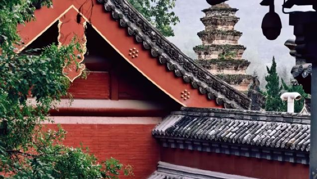 嵩山少林寺+三皇寨純玩一日遊【純玩無購物|市區內飯店上門接】