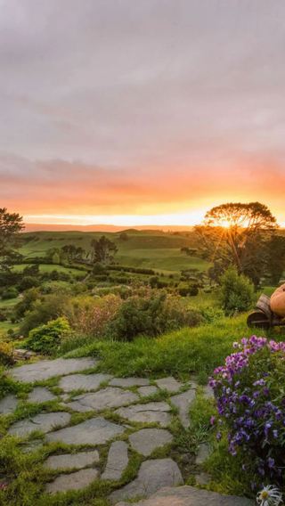 1-day tour to Hobbiton Movie Set from Auckland [15-seater Mercedes bus/city hotel transfers]
