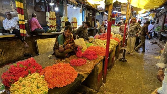 Tour privado guiado de día completo de Bangalore a Mysore