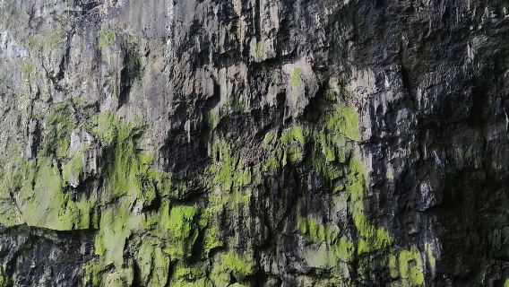 紫雲格凸河風景名勝區・原生態秘境一日遊【獨立出行+上門接+私家團】