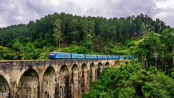 Sri Lanka Luxury Cruise Shore Excursion Day Tour: Ella