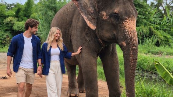 Bangkok: Damnoen Saduak, Railway Market & Elephant Sanctuary Full Day Tour.