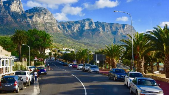 Cape Town pergi-balik - Litar Santai Pantai Penguin (Tempat Perlindungan Penguin) sewaan peribadi tersuai, perjalanan boleh disesuaikan