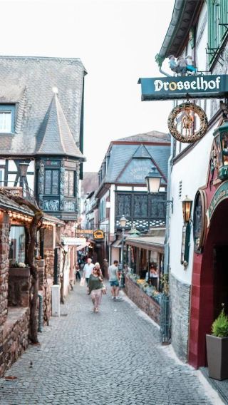 Frankfurt + Rudesheim town + Niederwald Monument + Rhine Valley winery