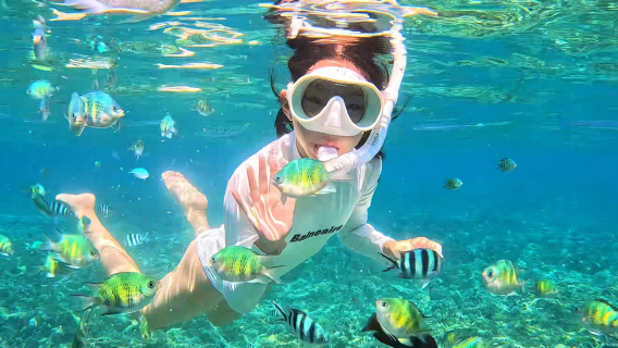 Passeio de um dia de mergulho com snorkel nas Ilhas Mantanani, Sabah: Opção de adicionar Manguezal de Kawa | Passeio Noturno de Vaga-Lumes e Macaco-Narigudo