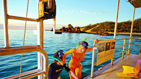 Jednodniowa wycieczka z snorkelingiem przy wraku w Tangalooma i karmieniem delfinów