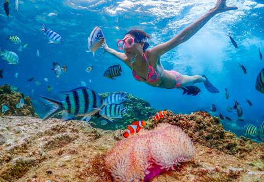 Pattaya Samae San Island and Khao Chi Chan One-Day Tour in Chonburi