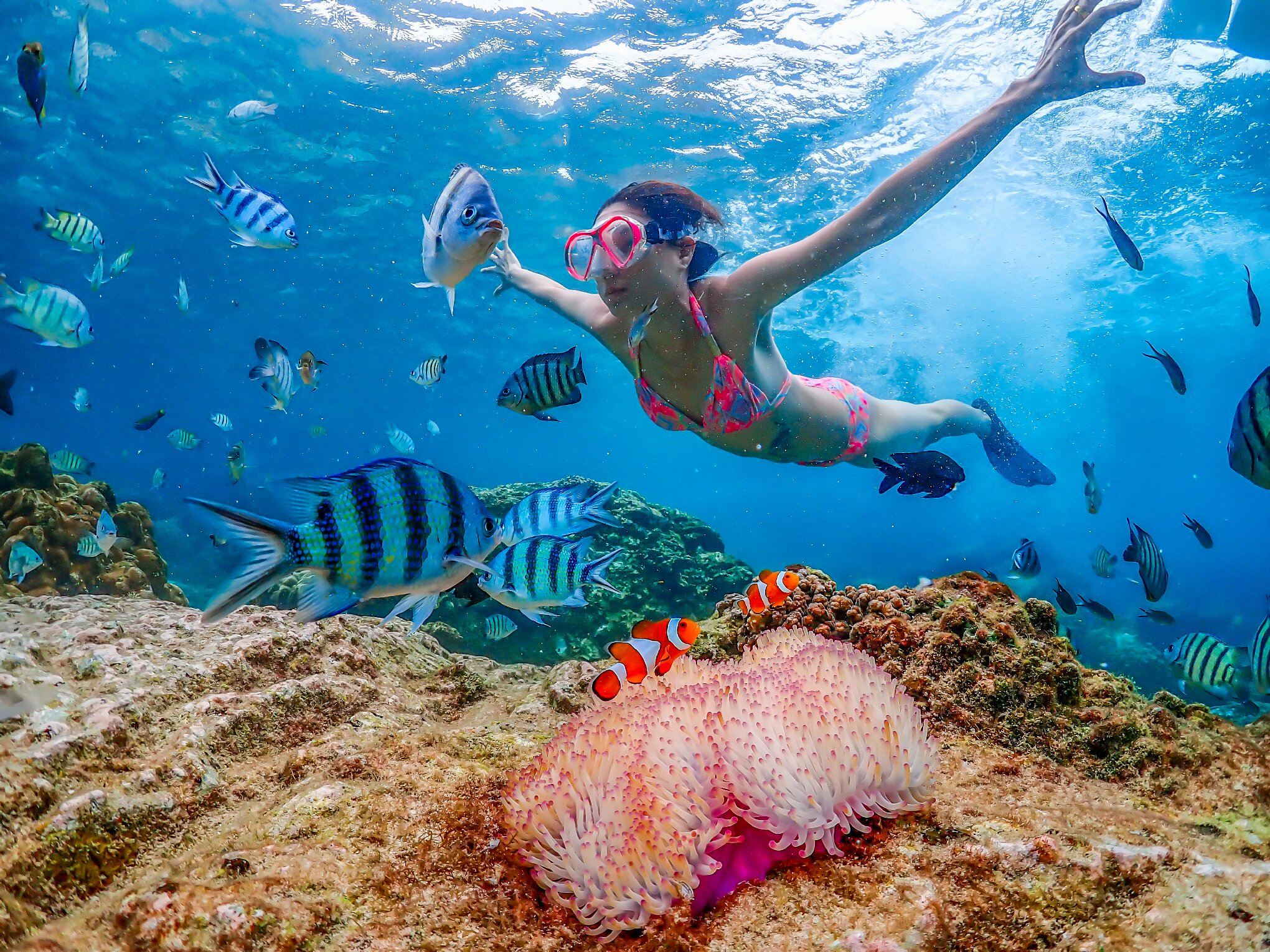 Pattaya Samay San Island + Khao Chi Chan Tagestour in Chonburi, Thailand