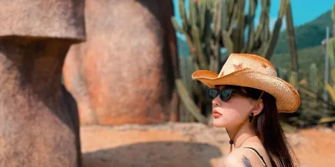 仙人掌王國+石碼老街·天一總局·曾氏番仔樓·碧山樓包車1日