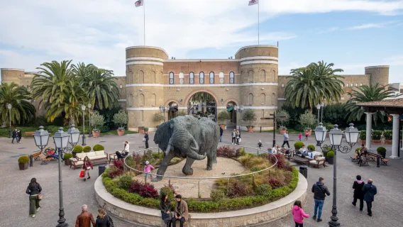 Rome Designer Outlet Castel Romano - Offre shopping (incluant billet aller-retour, carte de réduction supplémentaire de 10% et bon repas de 5 euros)