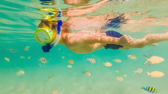 Koh Khai 3 islands snorkeling half day speedboat tour / Morning or Afternoon Half day