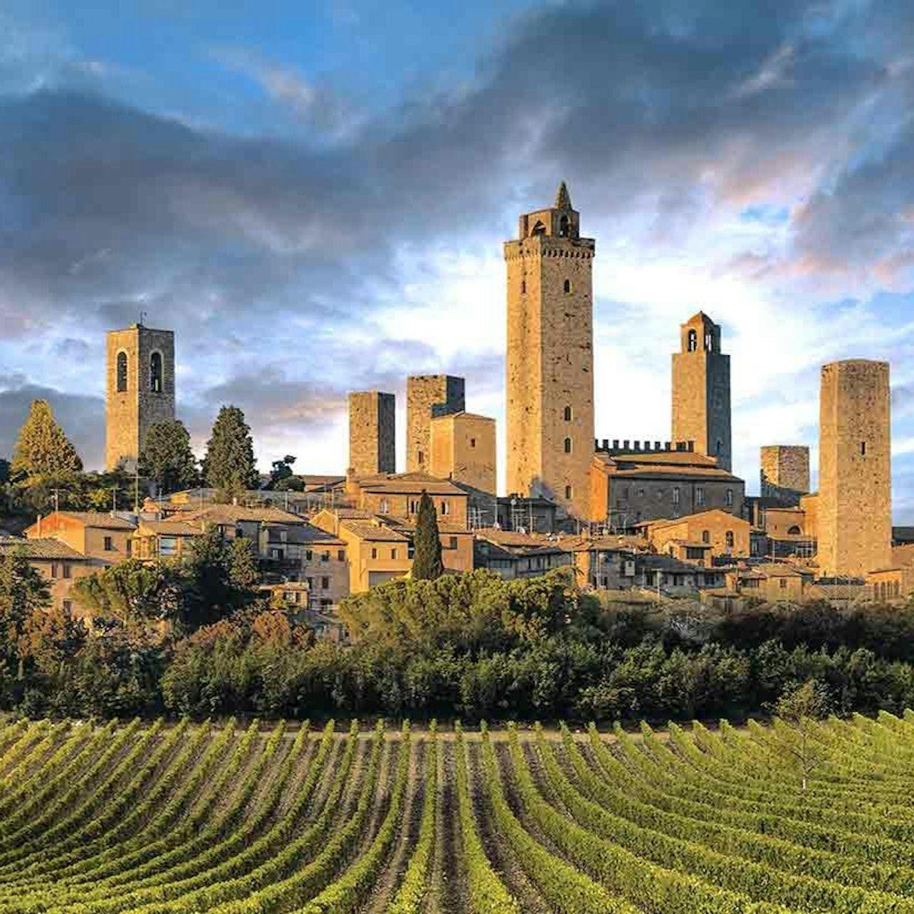 San Gimignano: tour di degustazione vini