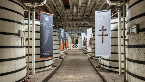 Château Royal de Cognac: Guided Tour + Tasting