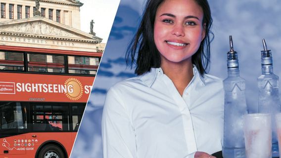 Berlin Icebar & 24-hr Hop-on Hop-off Bus