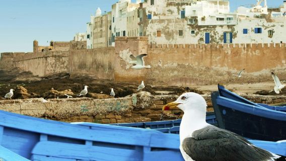 เอสซาอุอิรา: ทัวร์แบบมีไกด์นำเที่ยวหนึ่งวัน + รับจากมาร์ราเกช