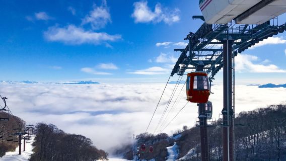 Комбинированный билет в парк снега Гаоцзю и Dynaland (опционально с пакетом услуг, включающим купоны на питание)