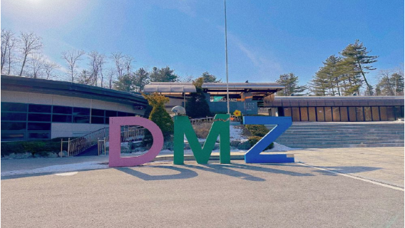 Paju