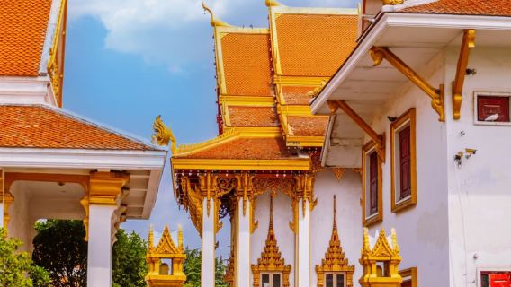 Enjoy the flowers along the way in Luoyang: White Horse Temple + China National Flower Garden + Museum Chinese, English and Russian guide EA