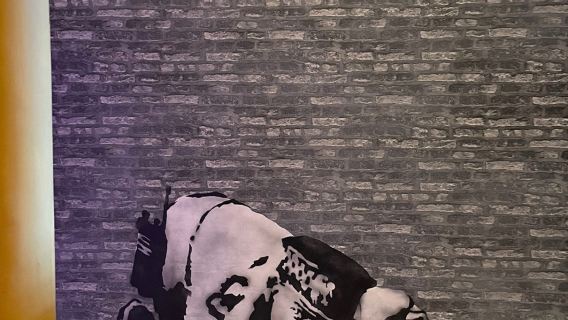 Banksy Museum (The World of Banksy) in Brussels: Entry Ticket