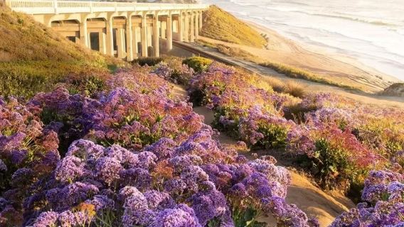 聖地牙哥航空母艦+聖地牙哥海軍基地包車遊-打卡【全面啟動】場地
