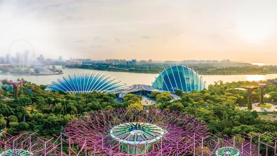 新加坡出發：濱海灣公園+國家美術館+環球影城