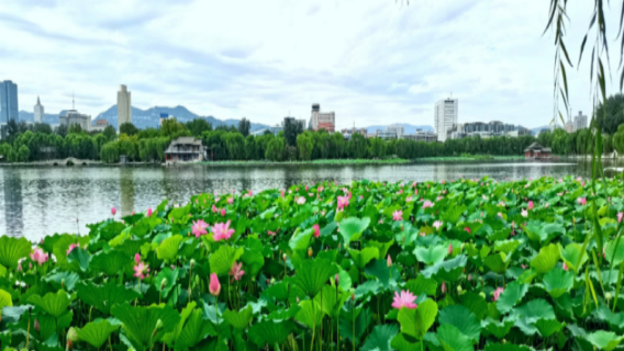 濟南日遊