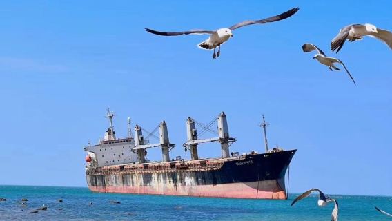 Weihai Naxianghai + Chengshantou + Crucero Qiaoxianghao + excursión de un día a Bruce - Servicio en inglés disponible