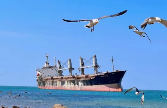 威海那香海+成山頭風景名勝區+僑鄉號遊輪+擱淺貨輪布魯維斯號一日遊-中英文服務