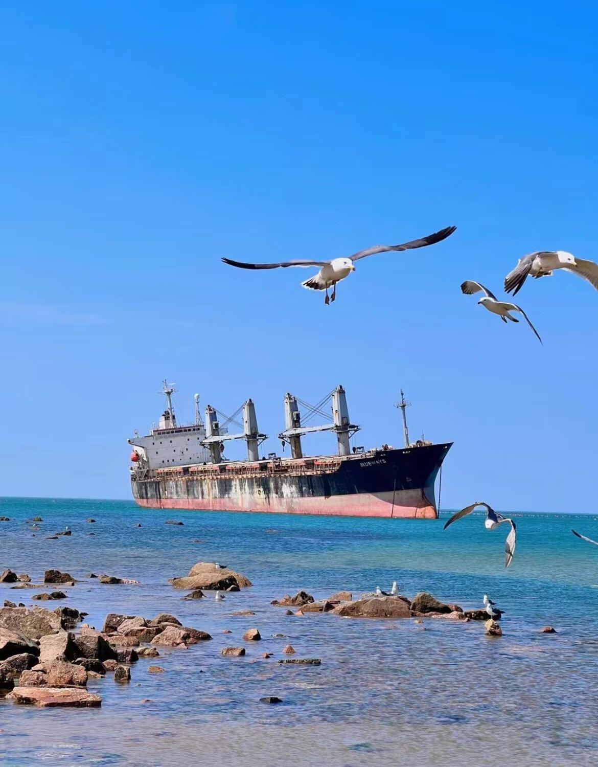 Weihai Naxianghai + Cheng Shan Tou + Qiaoxiang Cruise + Blueways day tour - Chinese and English service available