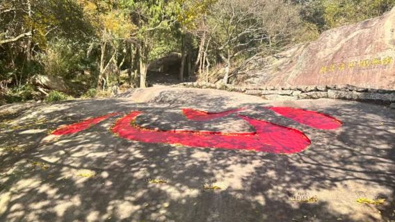 普陀山風景區一日遊【西天設施+南海觀音+普濟禪寺】精華全遊覽