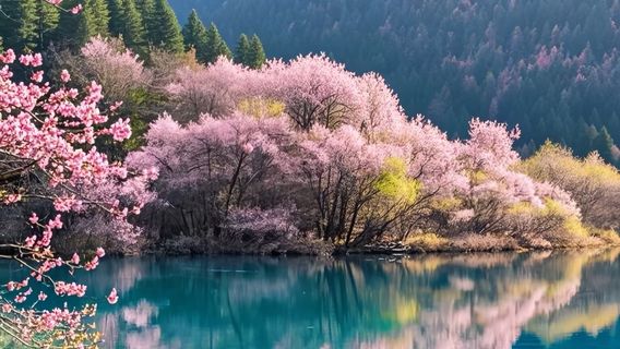 松潘日遊