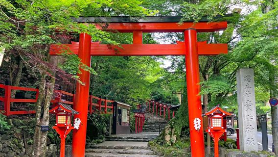 Kyoto Sanzen-in Temple + Kifune Shrine + Arashiyama one-day tour[4-9 people small group|Optional pick-up