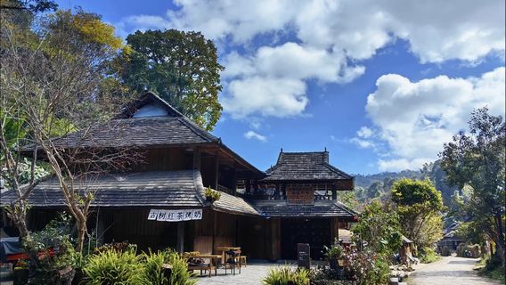 JinghongTours