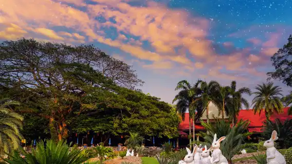 芭達雅東芭樂園半日遊【可選半日遊/一日遊】