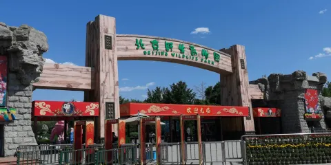 北京野生動物園一日遊【來回直通車◆動物園專線◆市內集散】